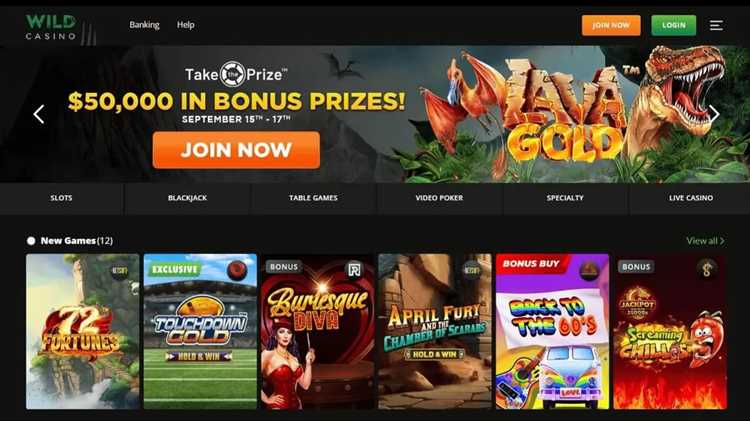 Explore a Wide Variety of Slot Themes at Wild Casino