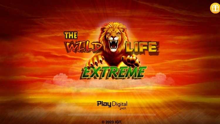 Experience the excitement of our ultimate slot games