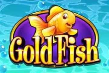 Play Gold Fish Casino Slots Games Online and Feel the Rush of Winning