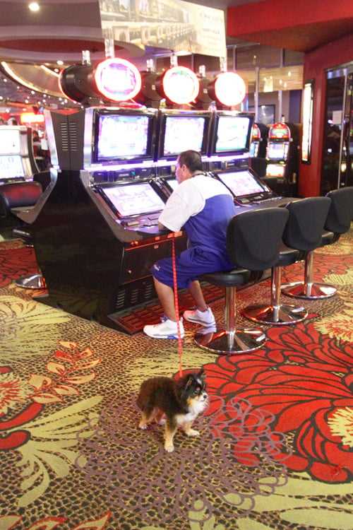 Where are the loosest slots in a casino?