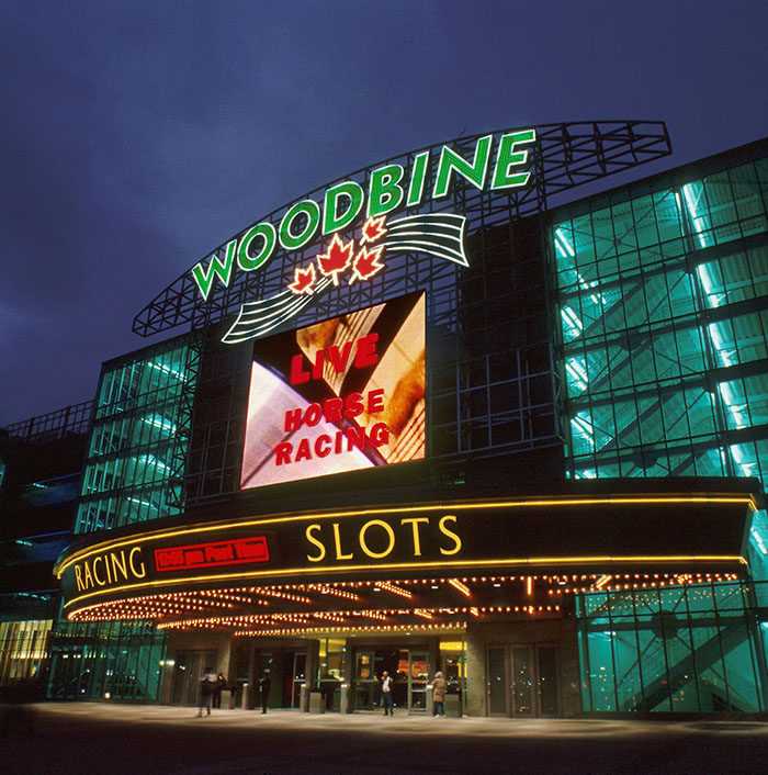 Experience the Heart-Pounding Action of Woodbine Casino